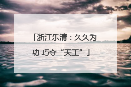 浙江乐清：久久为功 巧夺“天工”